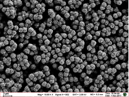 MagBeads® 1 μm 链霉亲和素磁珠