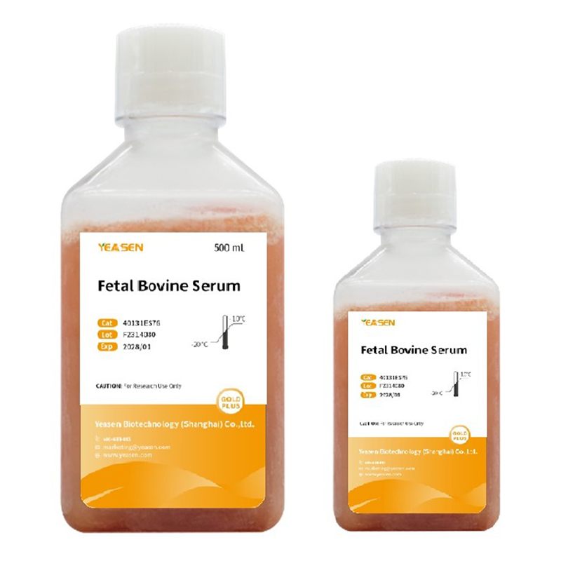 Fetal Bovine Serum Gold Plus 胎牛血清（特级）