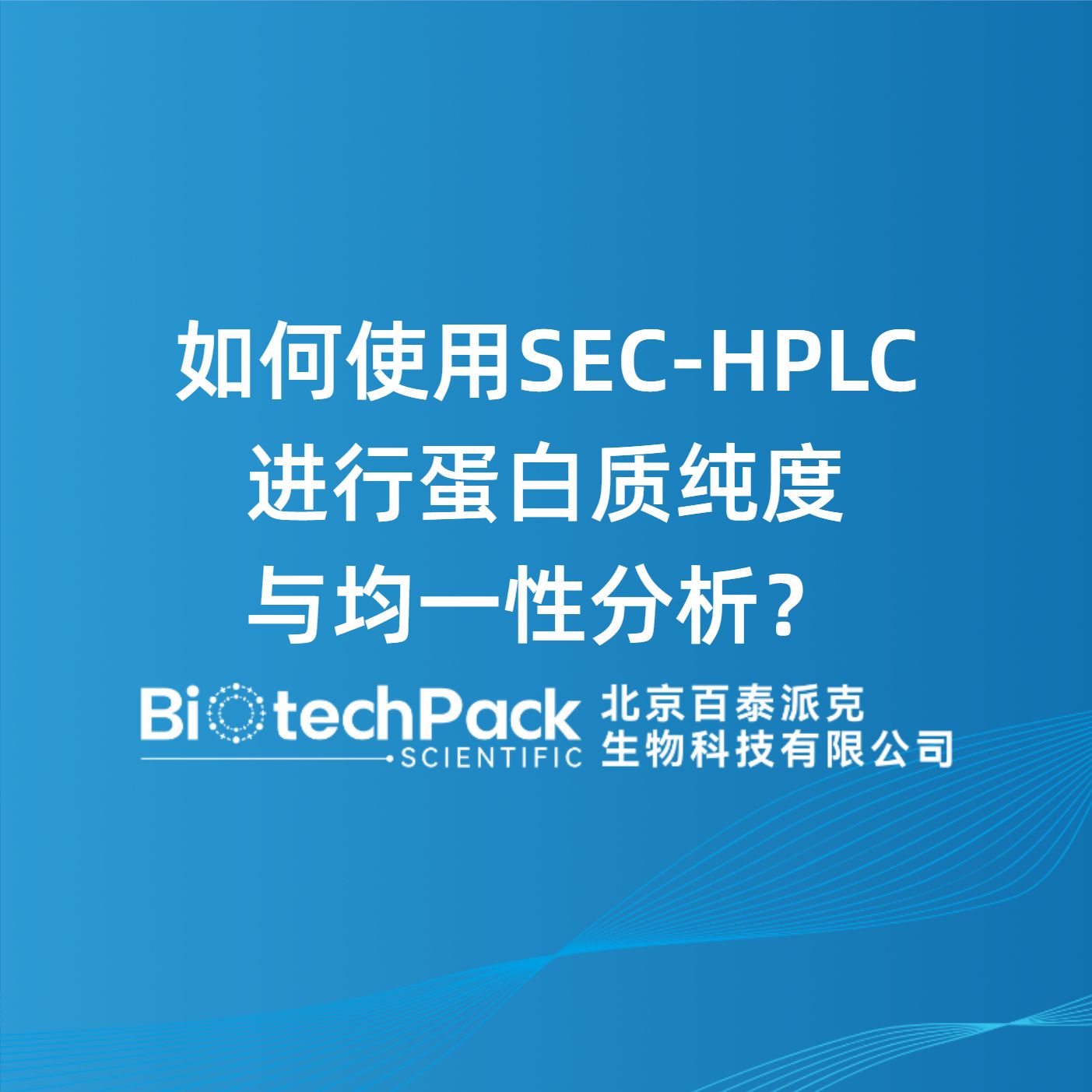 如何使用SEC-HPLC进行蛋白质纯度与均一性分析？