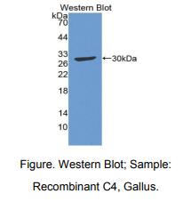 https://msimg.bioon.com/bionline/goods-no-pic.png