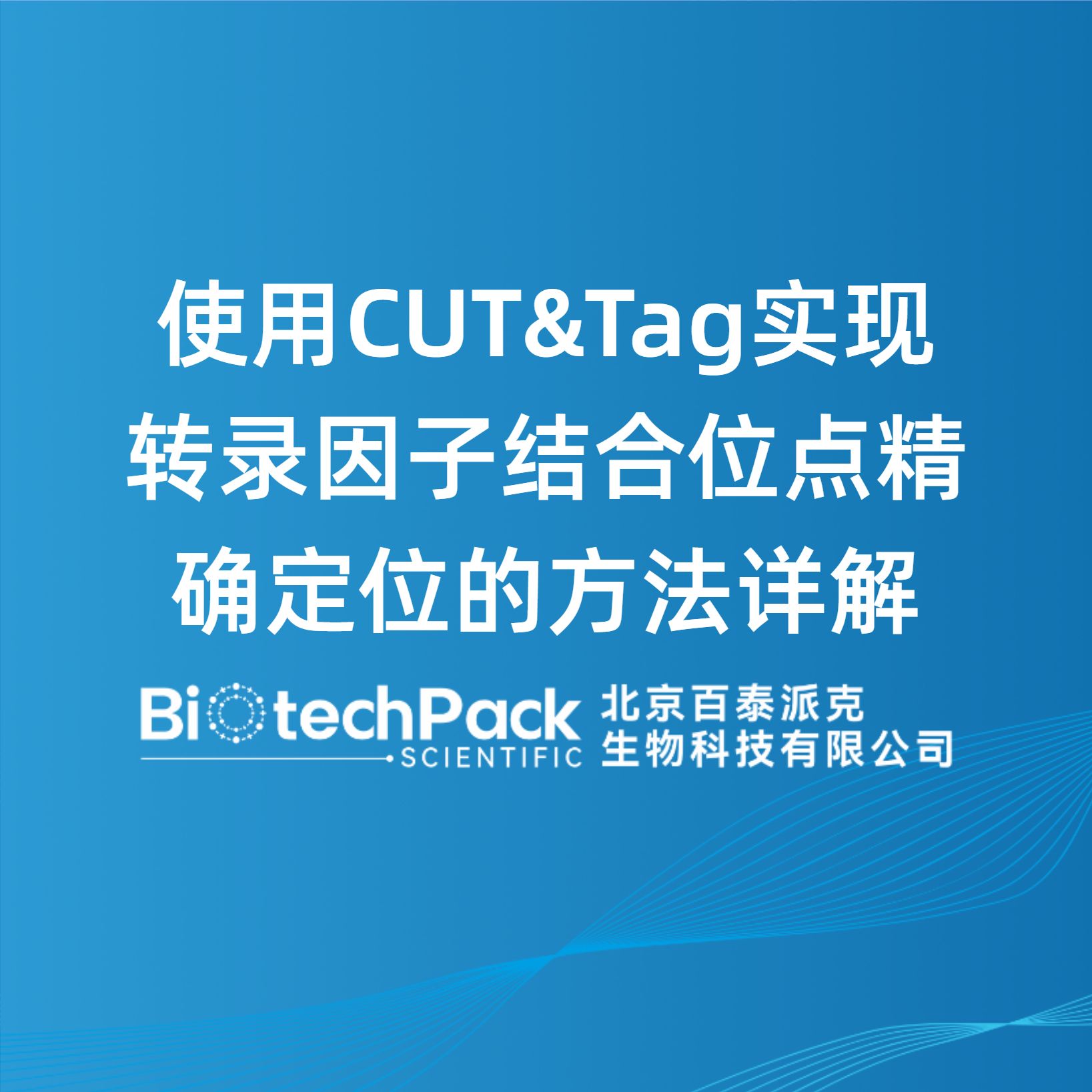 使用CUT&Tag实现转录因子结合位点精确定位的方法详解