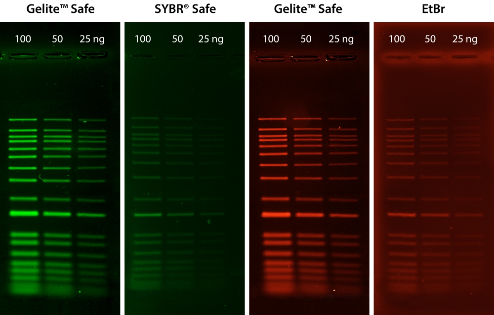 https://msimg.bioon.com/bionline/goods-no-pic.png