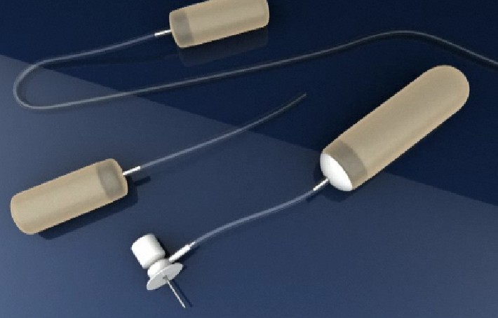  Alzet植入式胶囊渗透压泵 1002