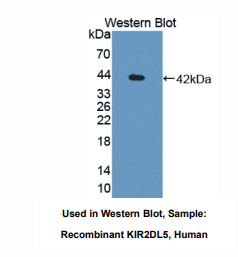 https://msimg.bioon.com/bionline/goods-no-pic.png