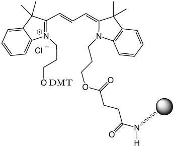 3’-Cy3-CPG