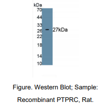 https://msimg.bioon.com/bionline/goods-no-pic.png