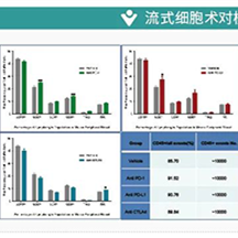 同种肿瘤移植模型