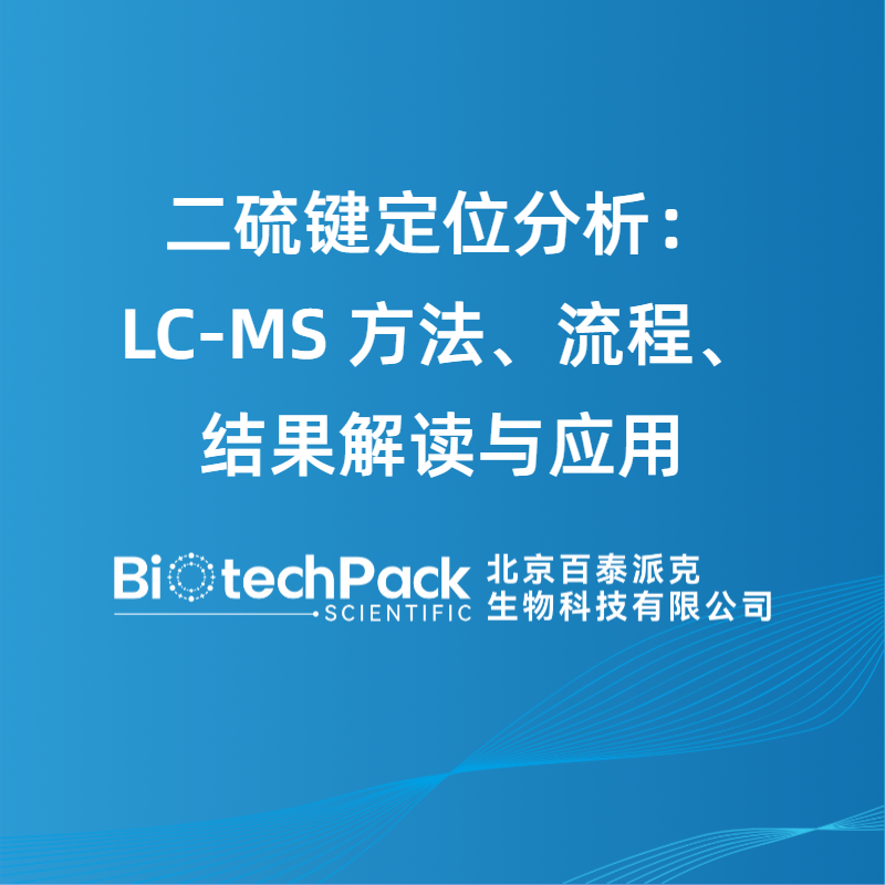 二硫键定位分析：LC-MS 方法、流程、结果解读与应用