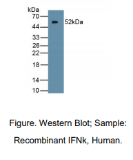 https://msimg.bioon.com/bionline/goods-no-pic.png