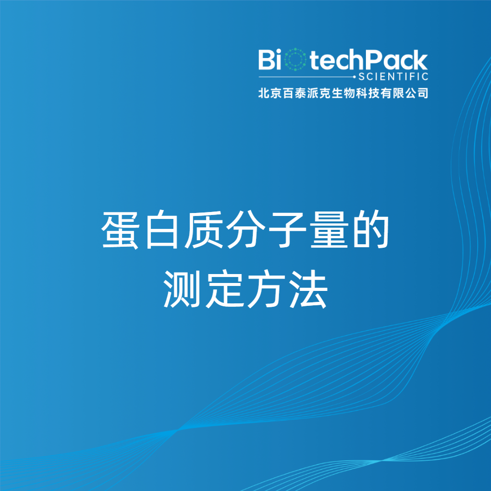 蛋白质分子量的测定方法