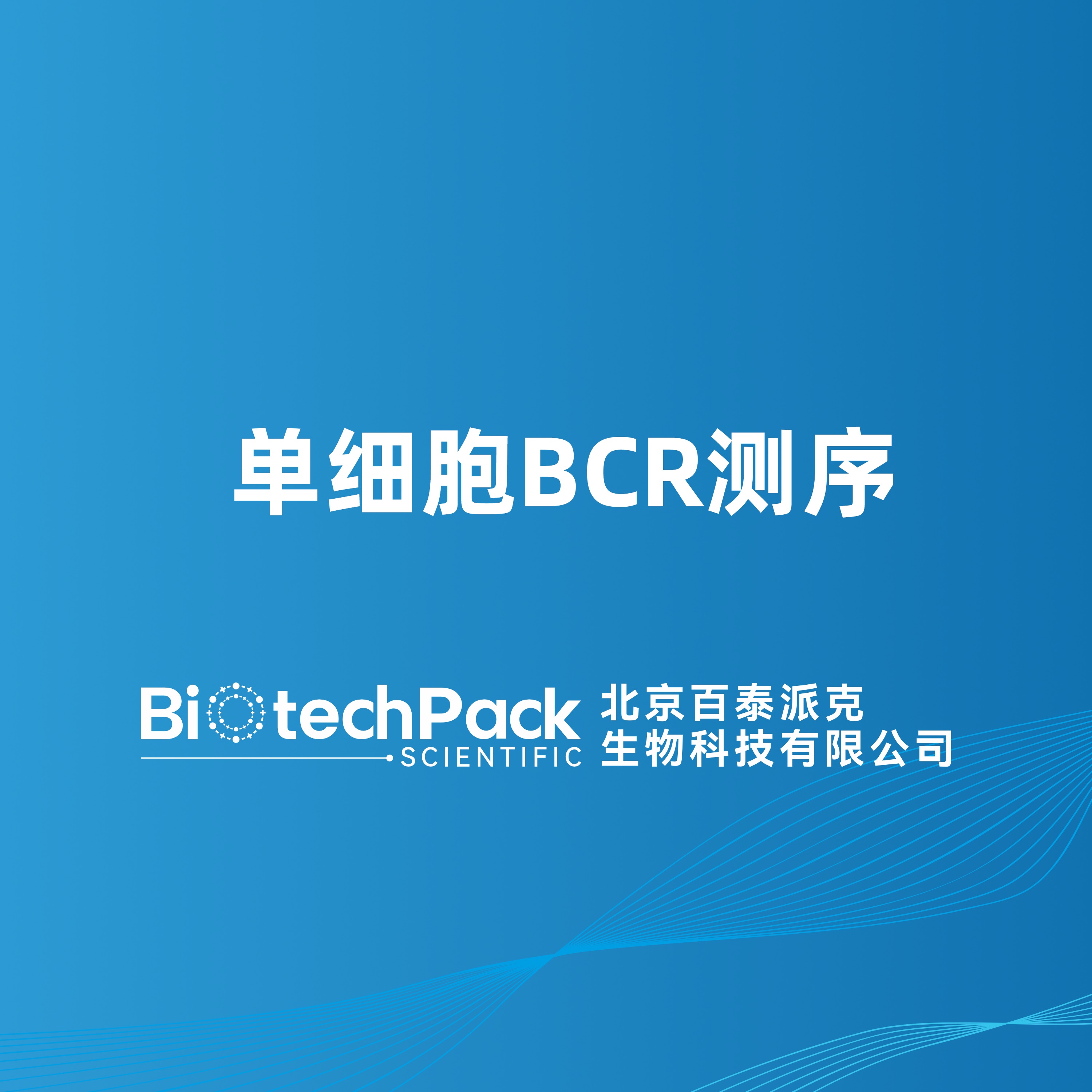 单细胞BCR测序