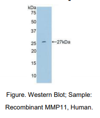 https://msimg.bioon.com/bionline/goods-no-pic.png