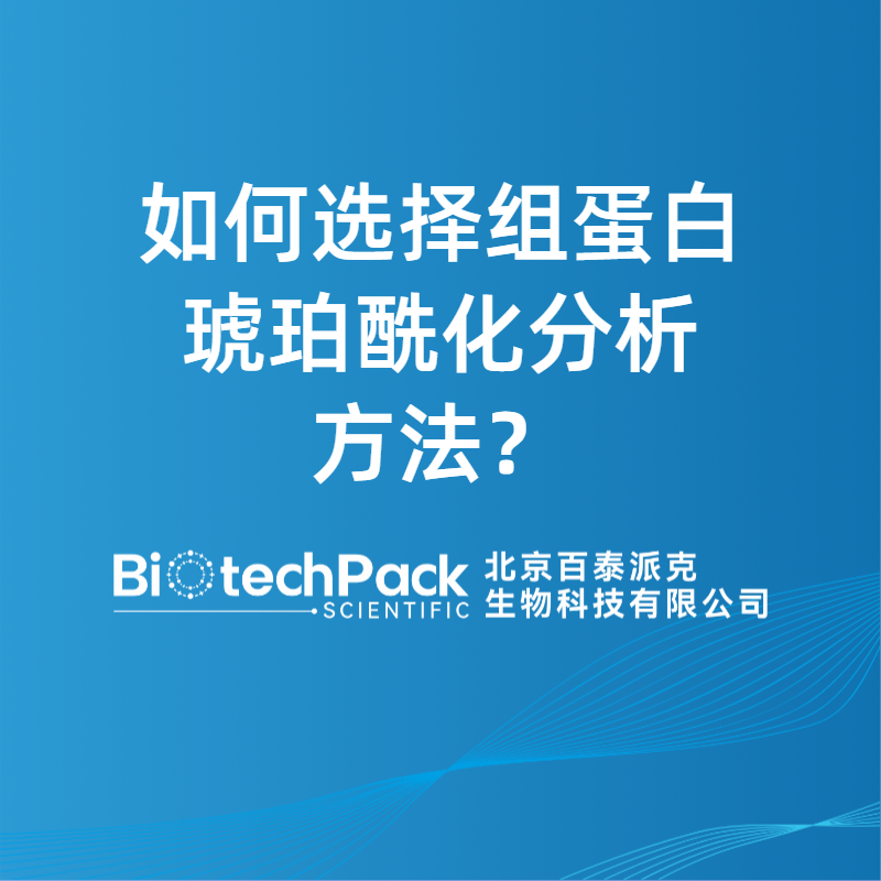 如何选择组蛋白琥珀酰化分析方法？