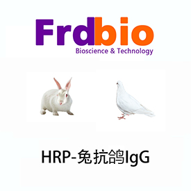 HRP-Rabbit Anti-Pigeon IgY(H+L)