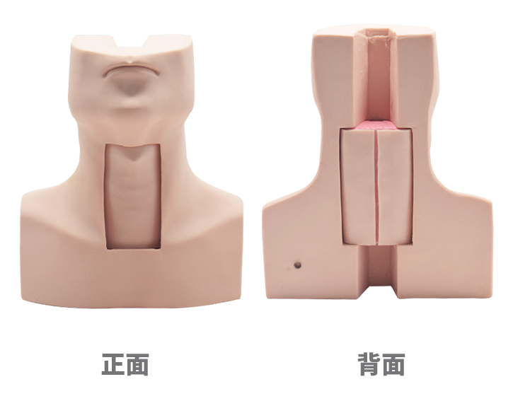 成人气管切开插管训练模型 高级环甲膜穿刺及气管切开插管模型