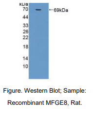 https://msimg.bioon.com/bionline/goods-no-pic.png