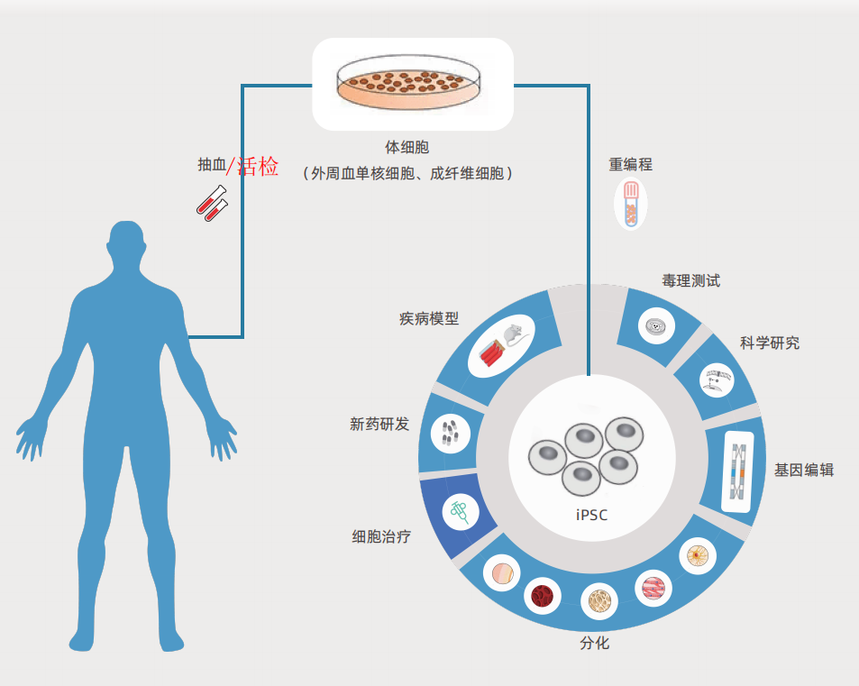 https://img.medsci.cn/3687a80f58cbb13817b000a8118703a5d5c3c40c1e42a31a21d5ea37e2522dcb.jpg