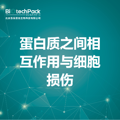 蛋白质之间相互作用与细胞损伤