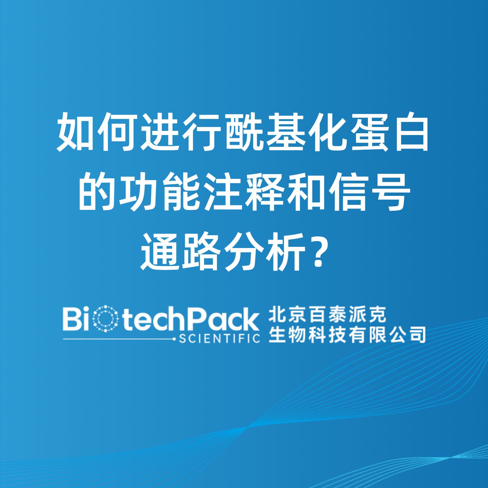 如何进行酰基化蛋白的功能注释和信号通路分析？