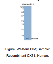 https://msimg.bioon.com/bionline/goods-no-pic.png