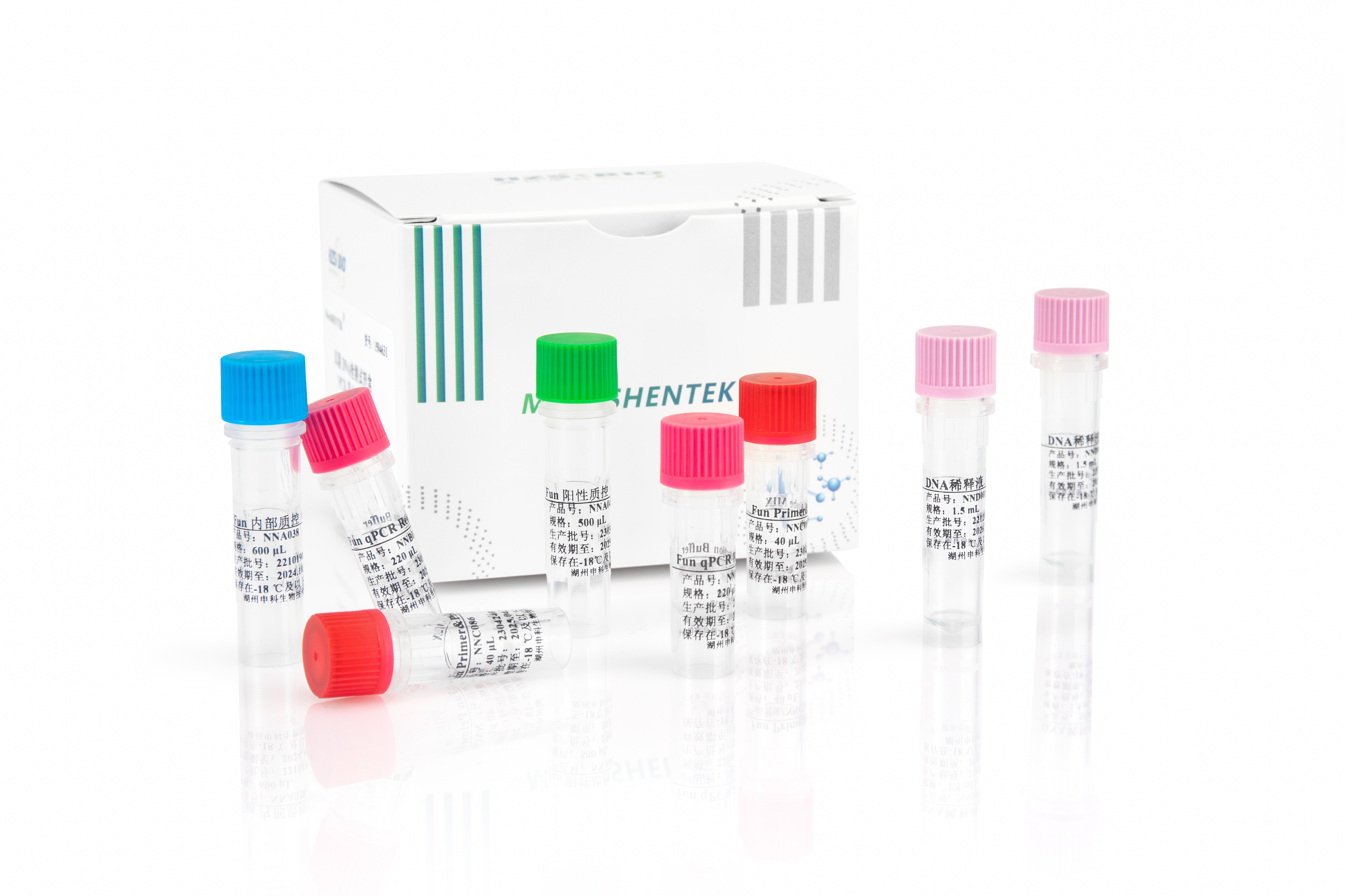 无菌快检-真菌DNA检测试剂盒(PCR-荧光探针法)