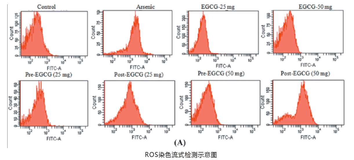 https://img.medsci.cn/09f7f9b396aaea8c5a2398de56f920980d508f8e7313325b130eae0a6c633bd4.png