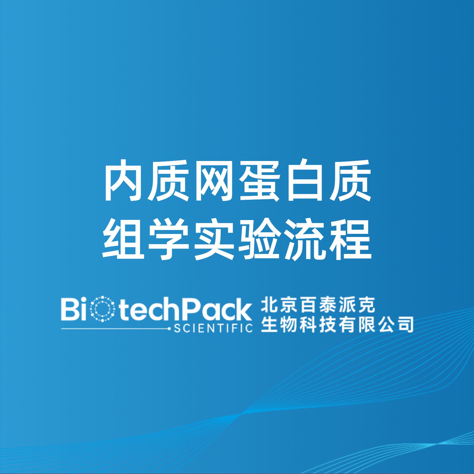 內質網蛋白質組學實驗流程