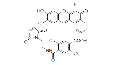 6-NED马来酰亚胺