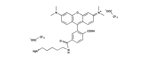 5(6)-羧基四甲基罗丹明乙二胺 