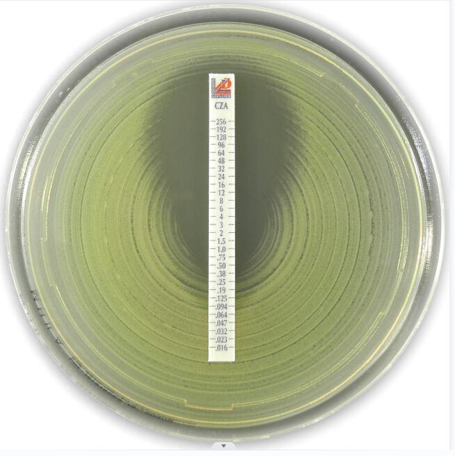 https://img.medsci.cn/a153e50aaab88627e141f44fc1db1a504d4e5bb08eafa6e013bea961dcc7ad69.jpg