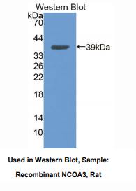 https://msimg.bioon.com/bionline/goods-no-pic.png