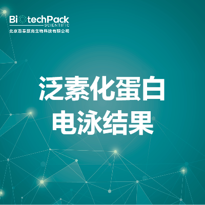 https://msimg.bioon.com/bionline/goods-no-pic.png