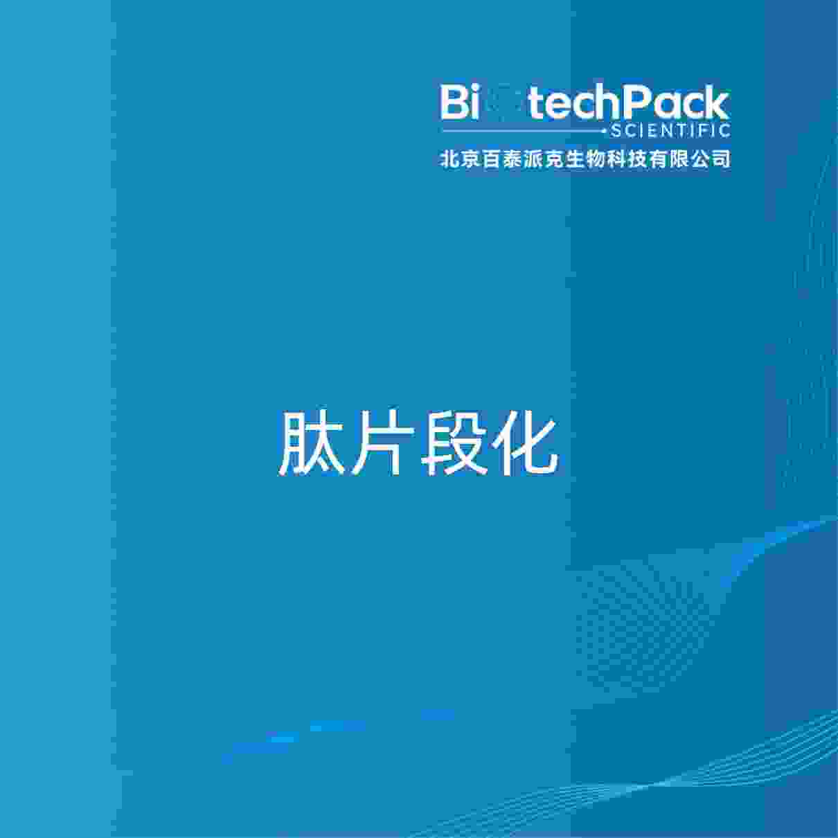 肽片段化
