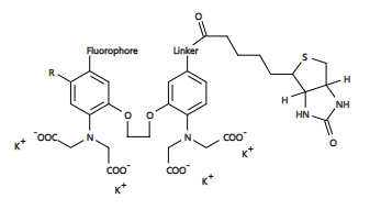 https://img.medsci.cn/e73eefcea40976357f460123cbf1e819c54e5106c9b457225be13b1cbc991aff.png