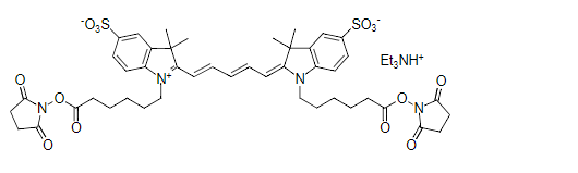 Cy5.5,双NHS酯,钾盐