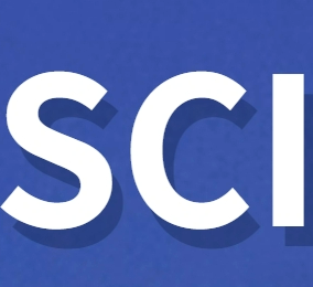 论文协作 /论文编辑/资深编辑团队，全程1对1指导