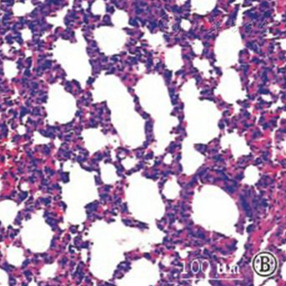 https://msimg.bioon.com/bionline/goods-no-pic.png