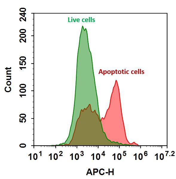 FITC Annexin V