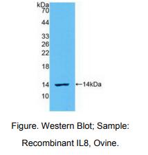 https://msimg.bioon.com/bionline/goods-no-pic.png