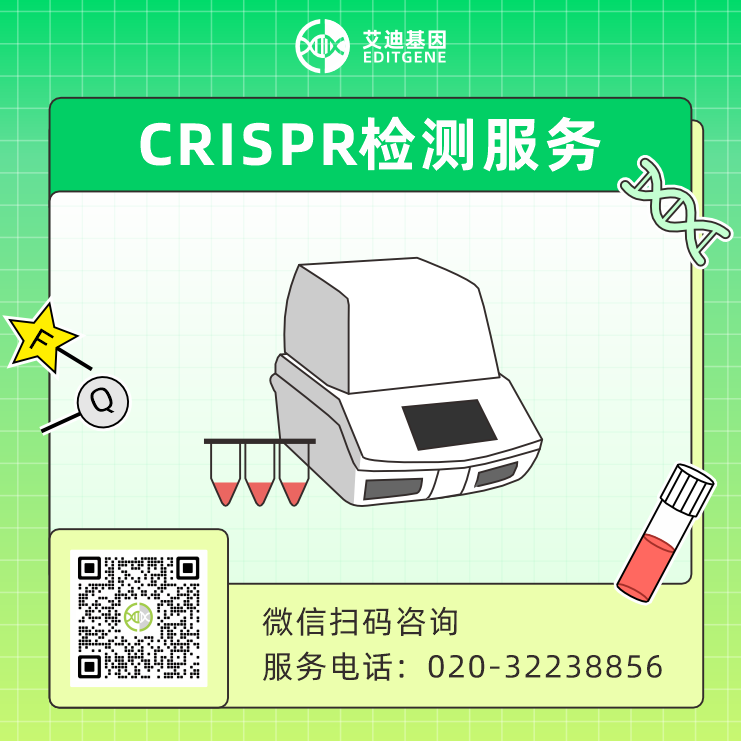 CPISPR 检测服务