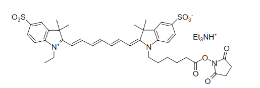 Cy7,马来酰亚胺