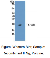 https://msimg.bioon.com/bionline/goods-no-pic.png