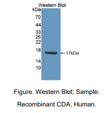 https://msimg.bioon.com/bionline/goods-no-pic.png