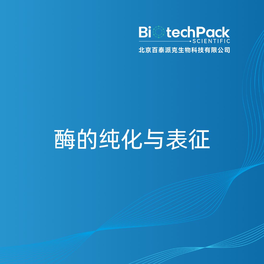 酶的纯化与表征