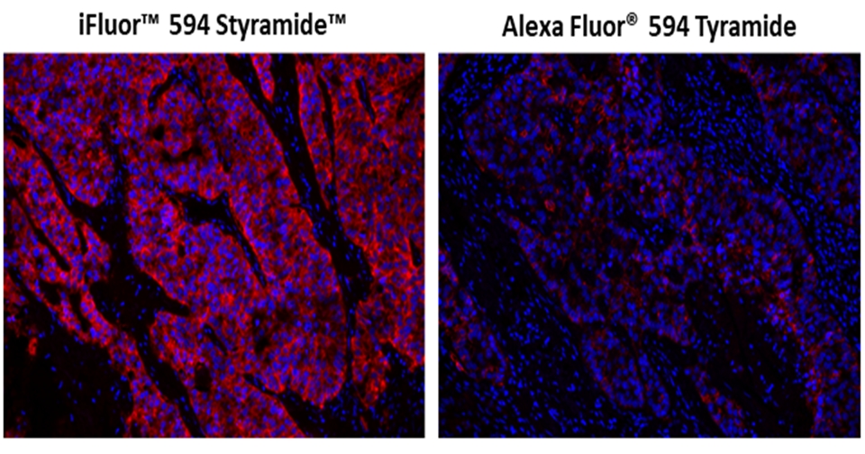 https://img.medsci.cn/e73eefcea40976357f460123cbf1e819c54e5106c9b457225be13b1cbc991aff.png