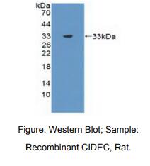 https://msimg.bioon.com/bionline/goods-no-pic.png