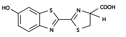 D-荧光素 游离酸 CAS 2591-17-5