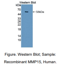 https://msimg.bioon.com/bionline/goods-no-pic.png