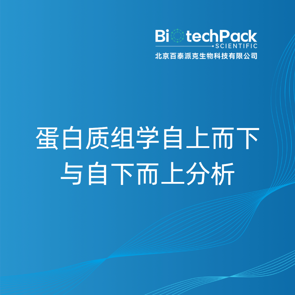 蛋白质组学自上而下与自下而上分析