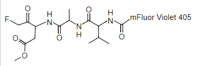 胱天蛋白酶Caspase抑制剂mFluor 450-VAD-FMK